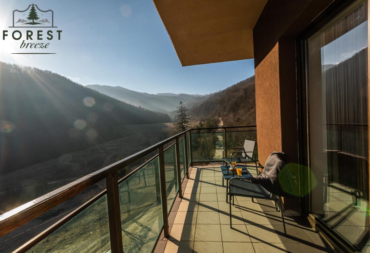 Forest Breeze Apartterrace 布拉索夫 外观 照片
