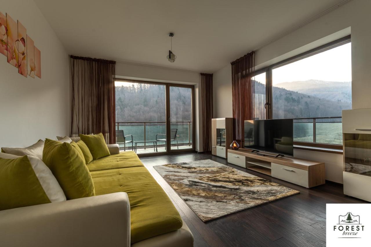 Forest Breeze Apartterrace 布拉索夫 外观 照片