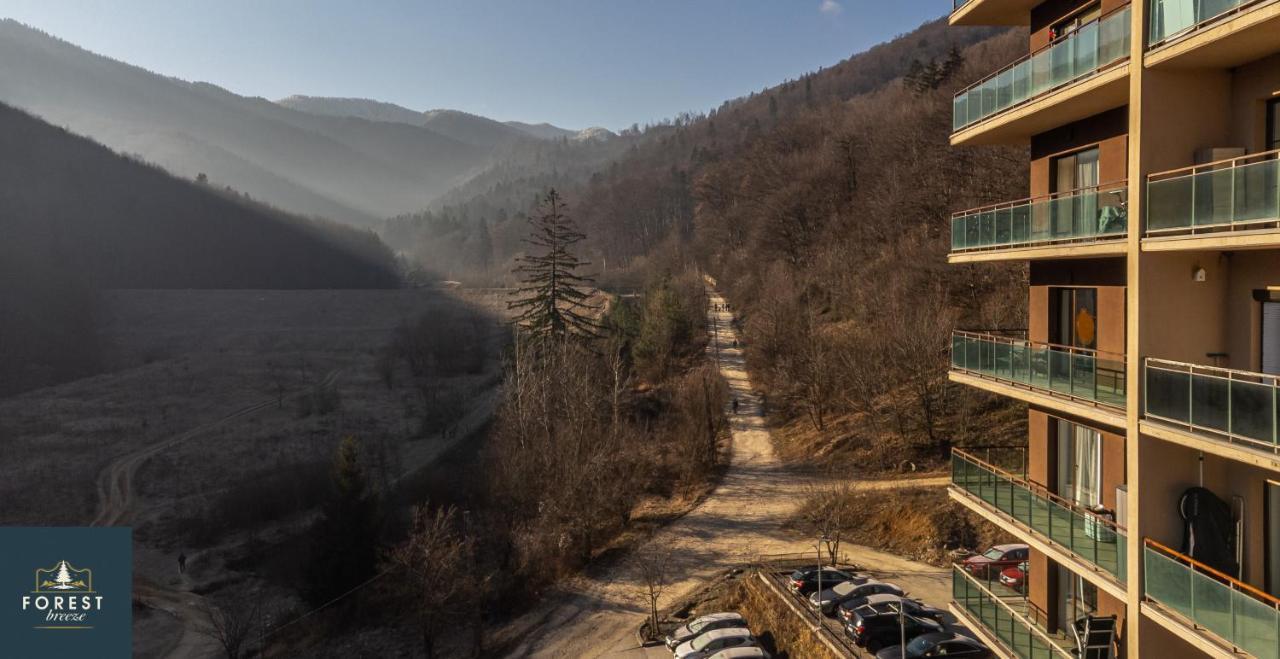 Forest Breeze Apartterrace 布拉索夫 外观 照片