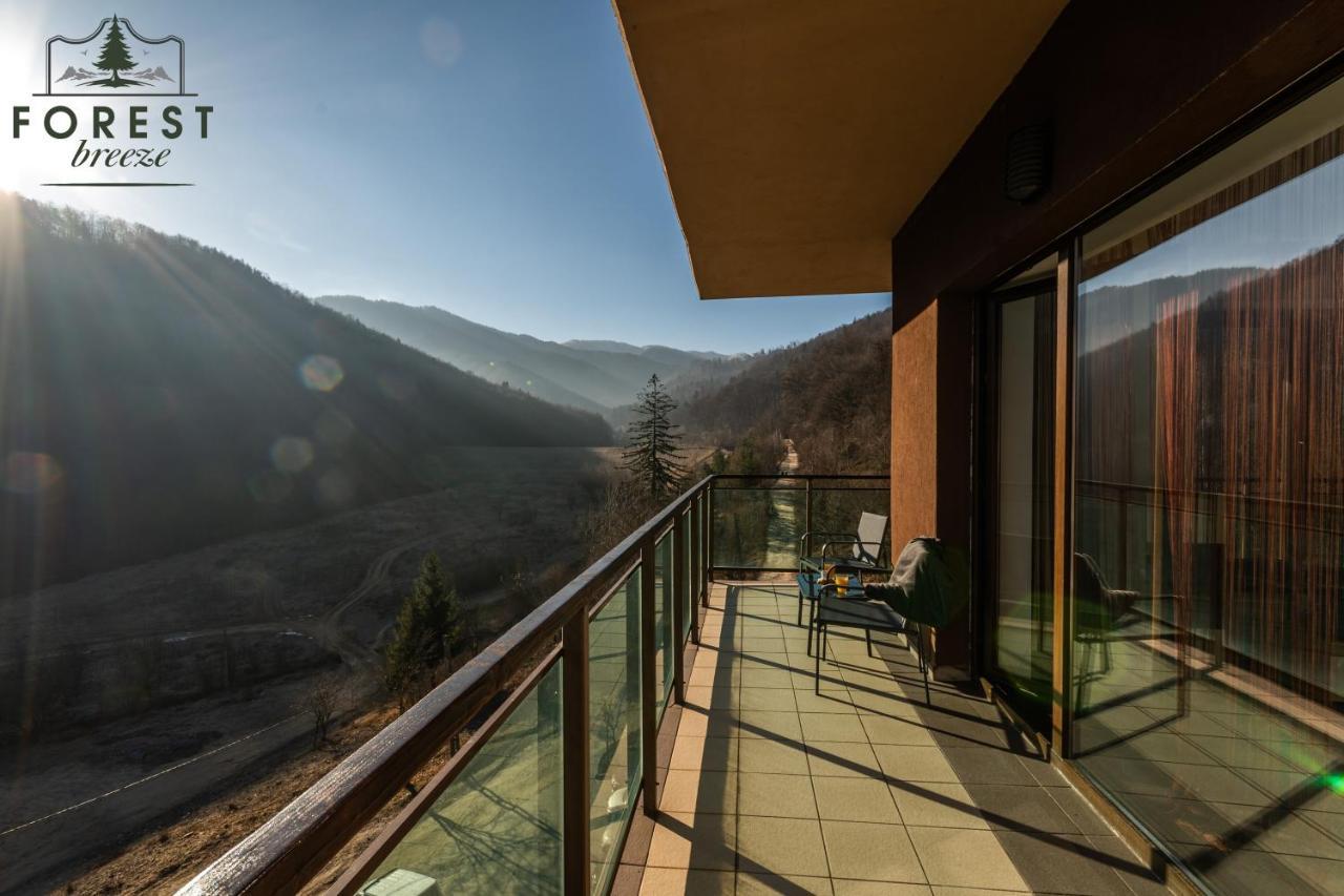 Forest Breeze Apartterrace 布拉索夫 外观 照片