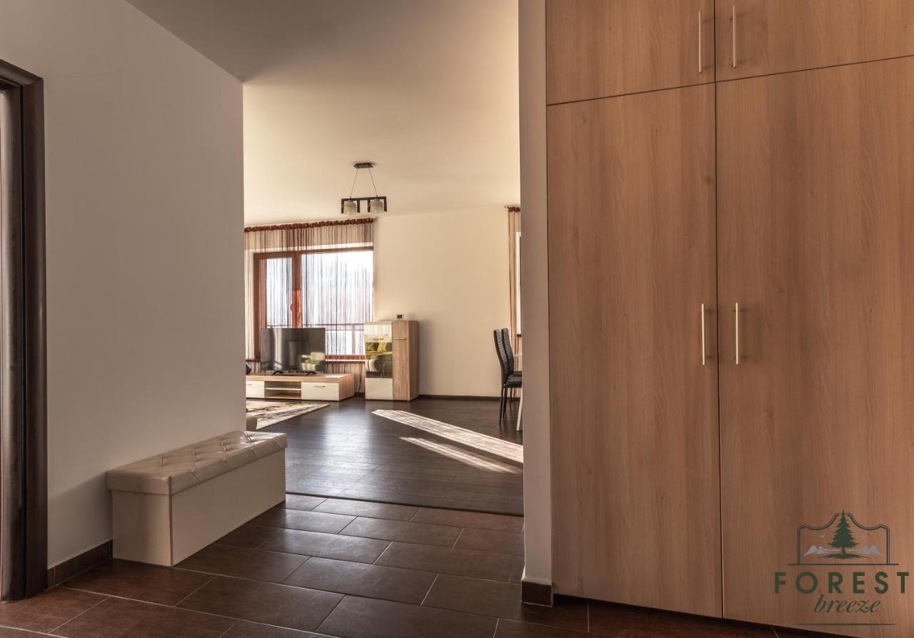 Forest Breeze Apartterrace 布拉索夫 外观 照片