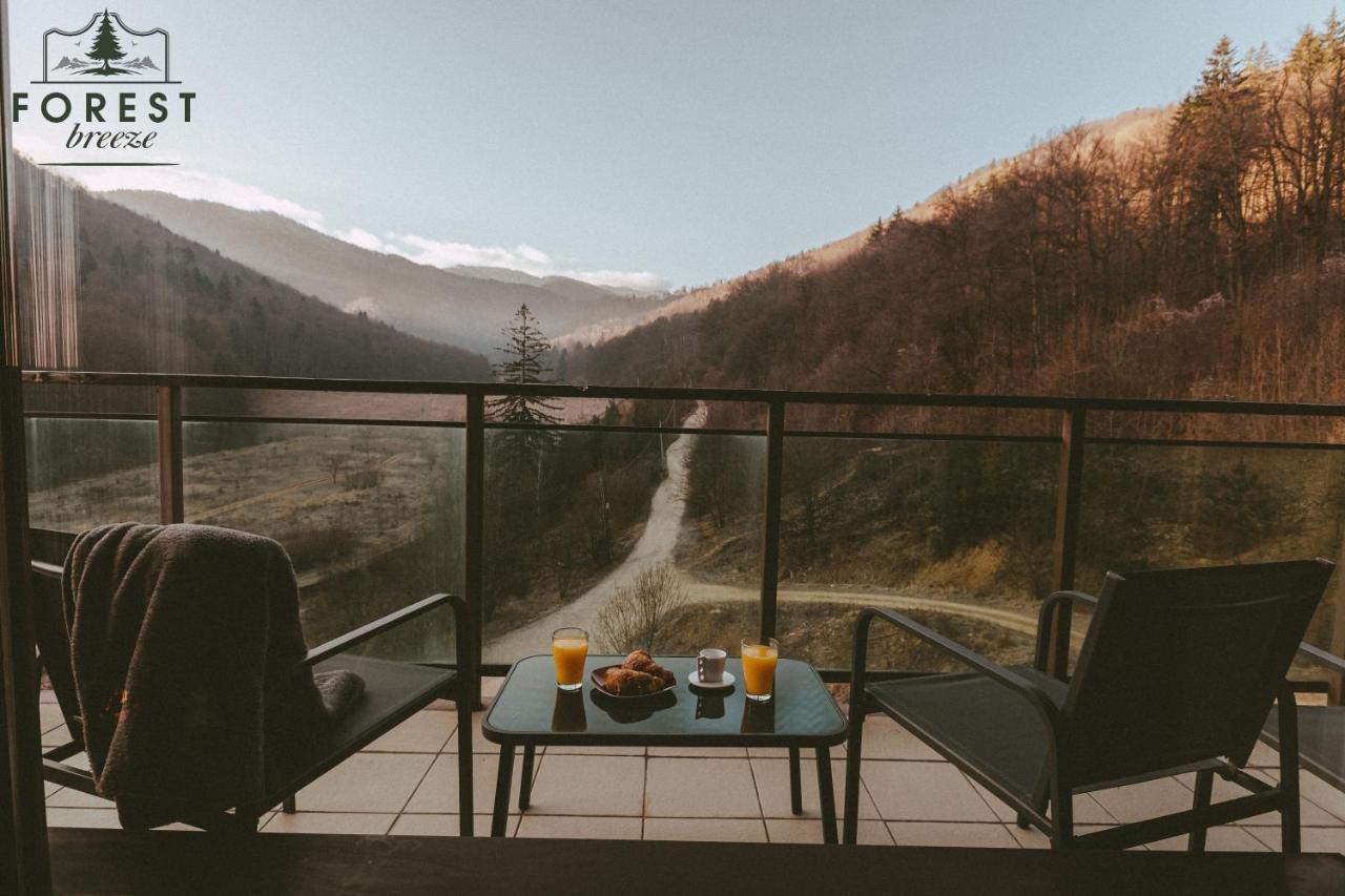 Forest Breeze Apartterrace 布拉索夫 外观 照片