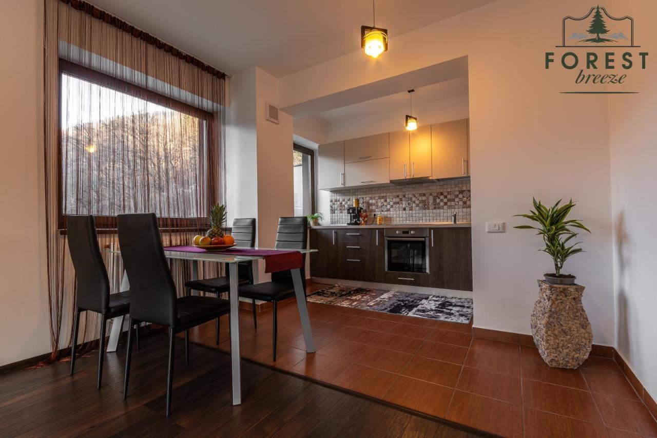 Forest Breeze Apartterrace 布拉索夫 外观 照片