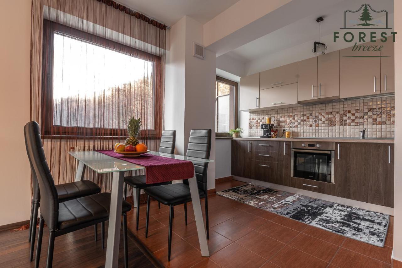 Forest Breeze Apartterrace 布拉索夫 外观 照片
