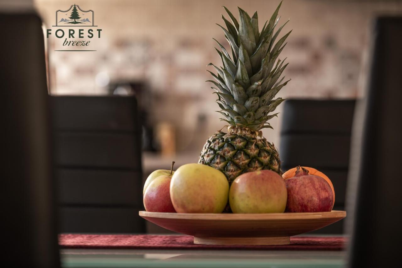 Forest Breeze Apartterrace 布拉索夫 外观 照片