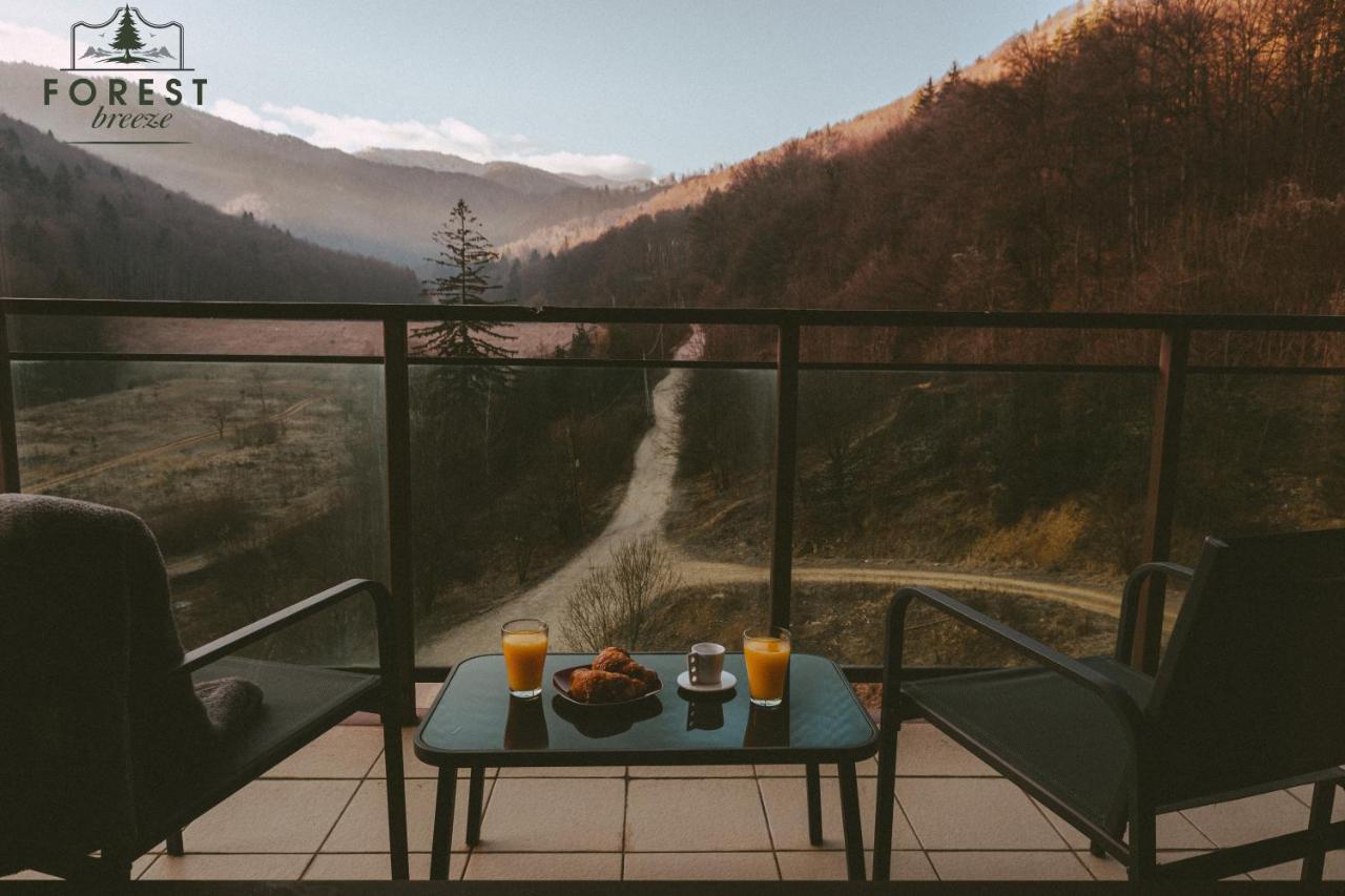 Forest Breeze Apartterrace 布拉索夫 外观 照片