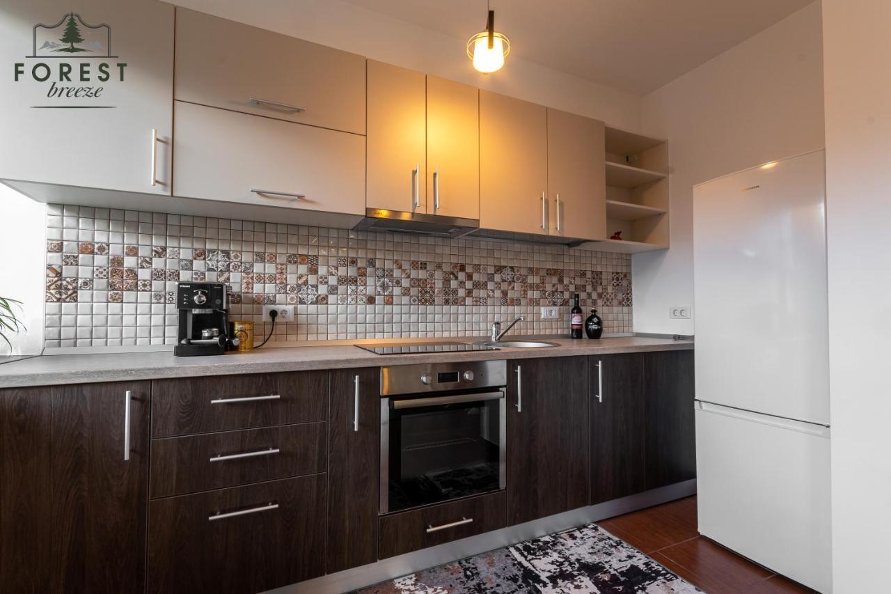 Forest Breeze Apartterrace 布拉索夫 外观 照片