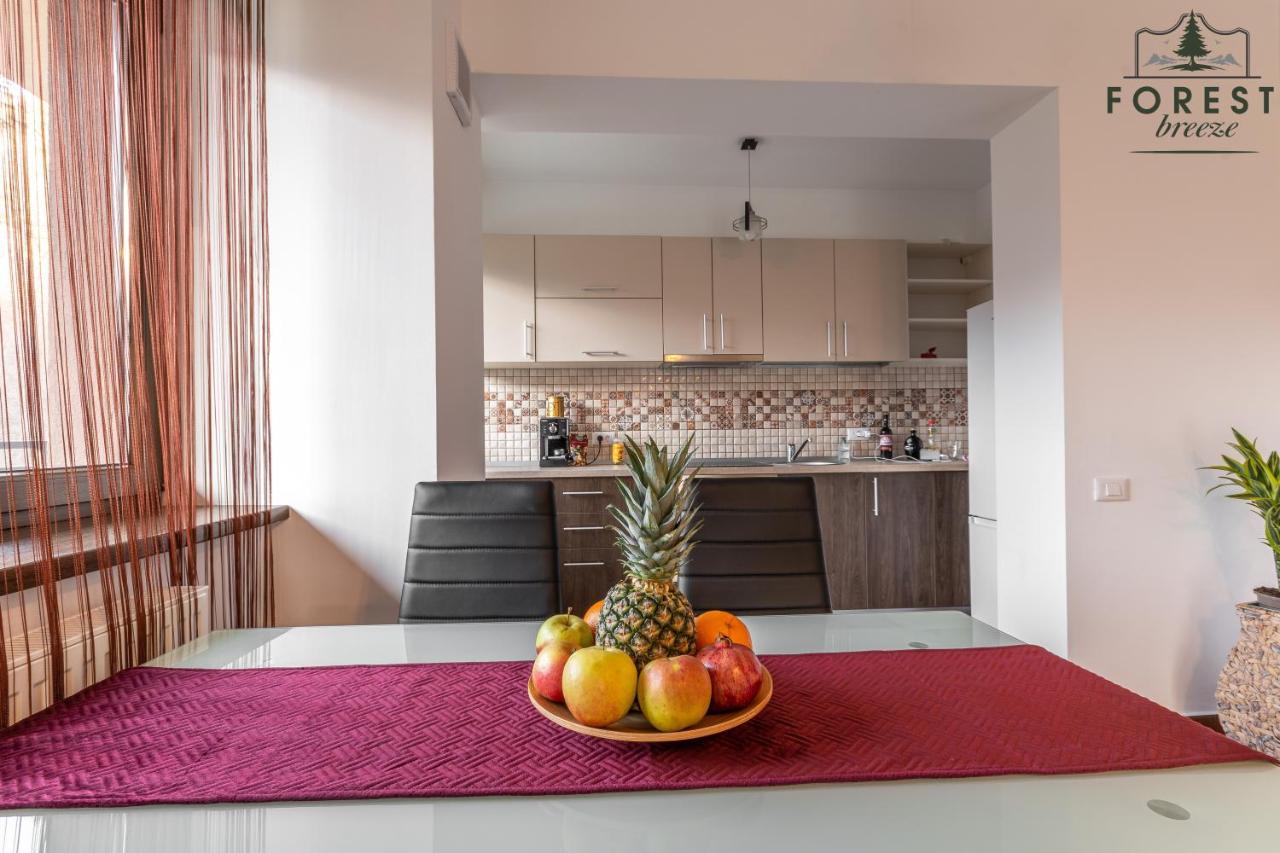 Forest Breeze Apartterrace 布拉索夫 外观 照片