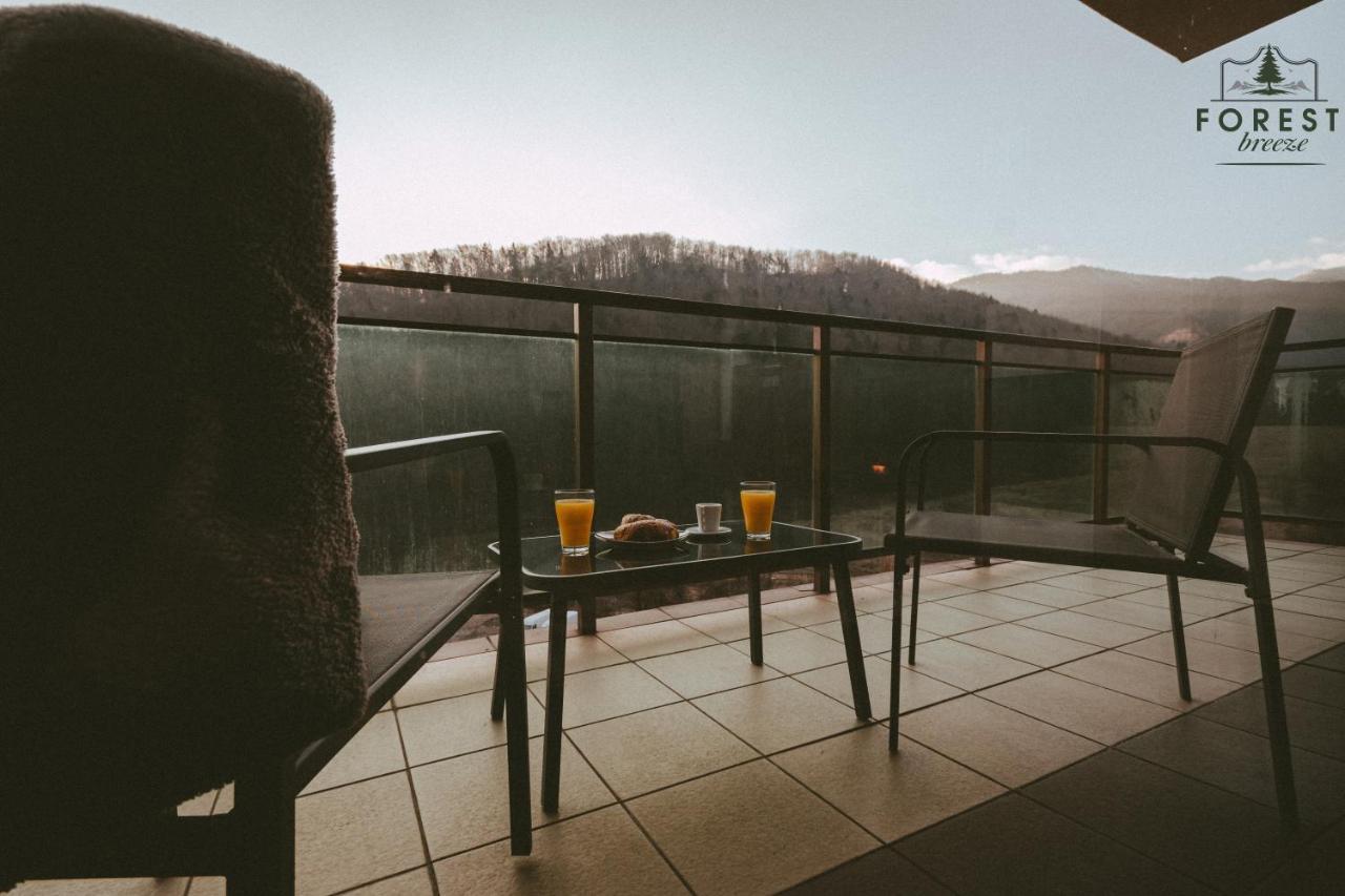 Forest Breeze Apartterrace 布拉索夫 外观 照片