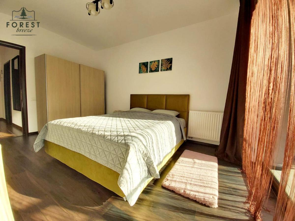 Forest Breeze Apartterrace 布拉索夫 外观 照片