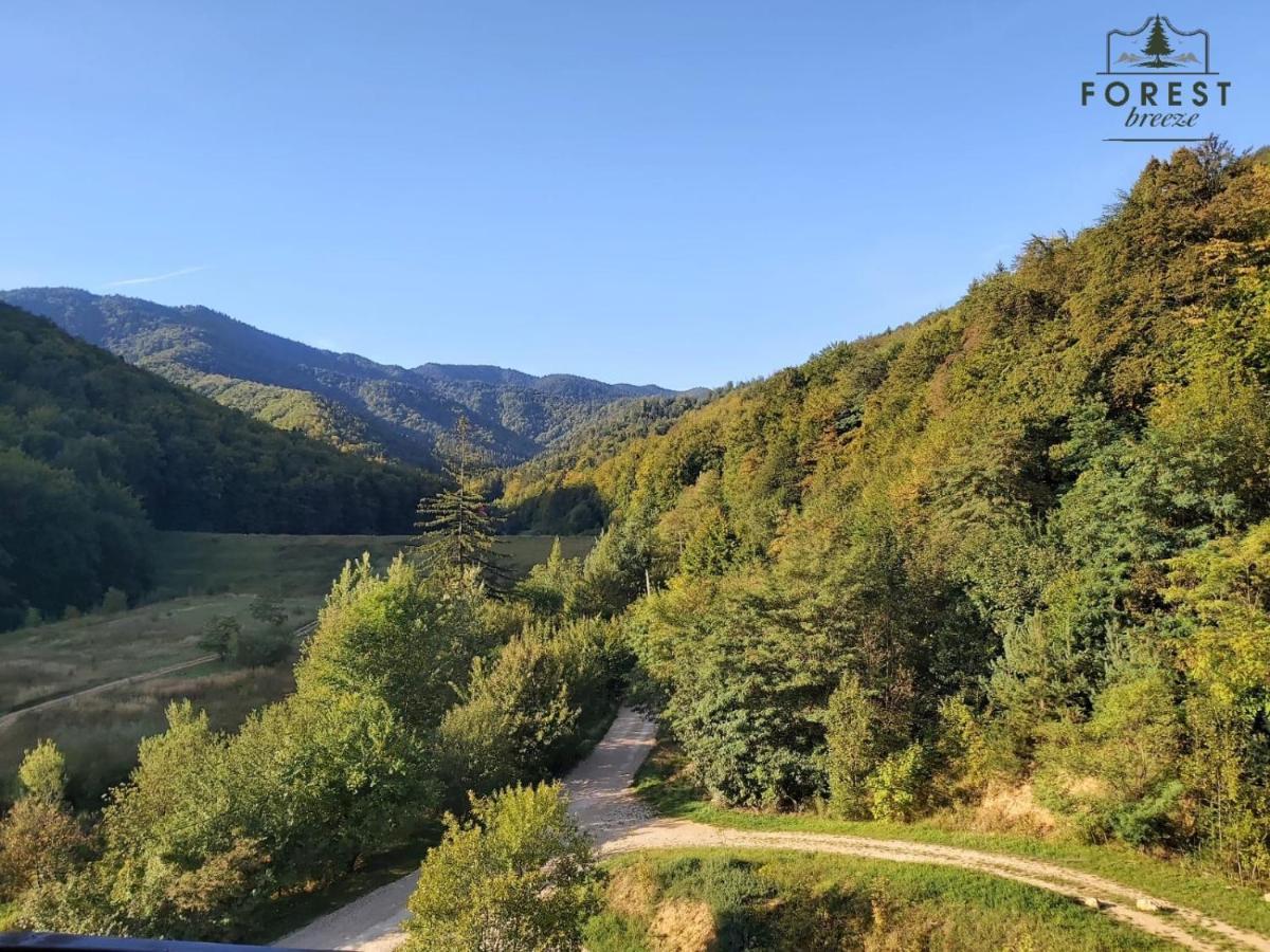 Forest Breeze Apartterrace 布拉索夫 外观 照片