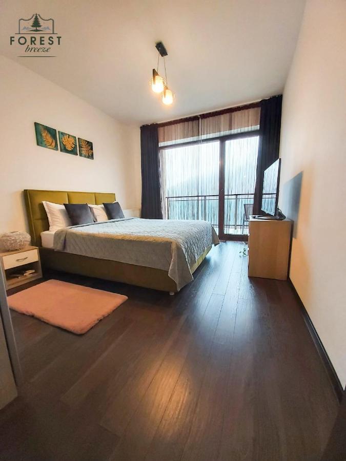 Forest Breeze Apartterrace 布拉索夫 外观 照片