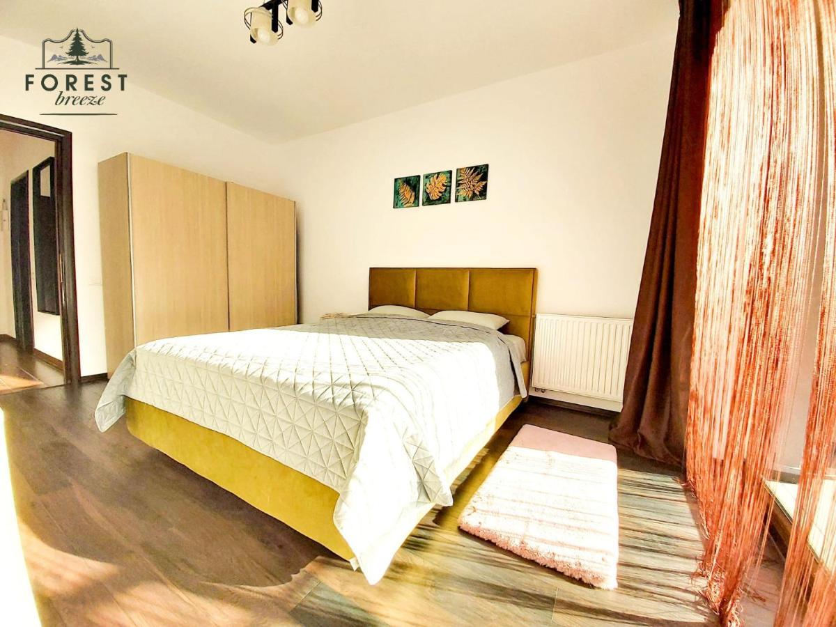Forest Breeze Apartterrace 布拉索夫 外观 照片