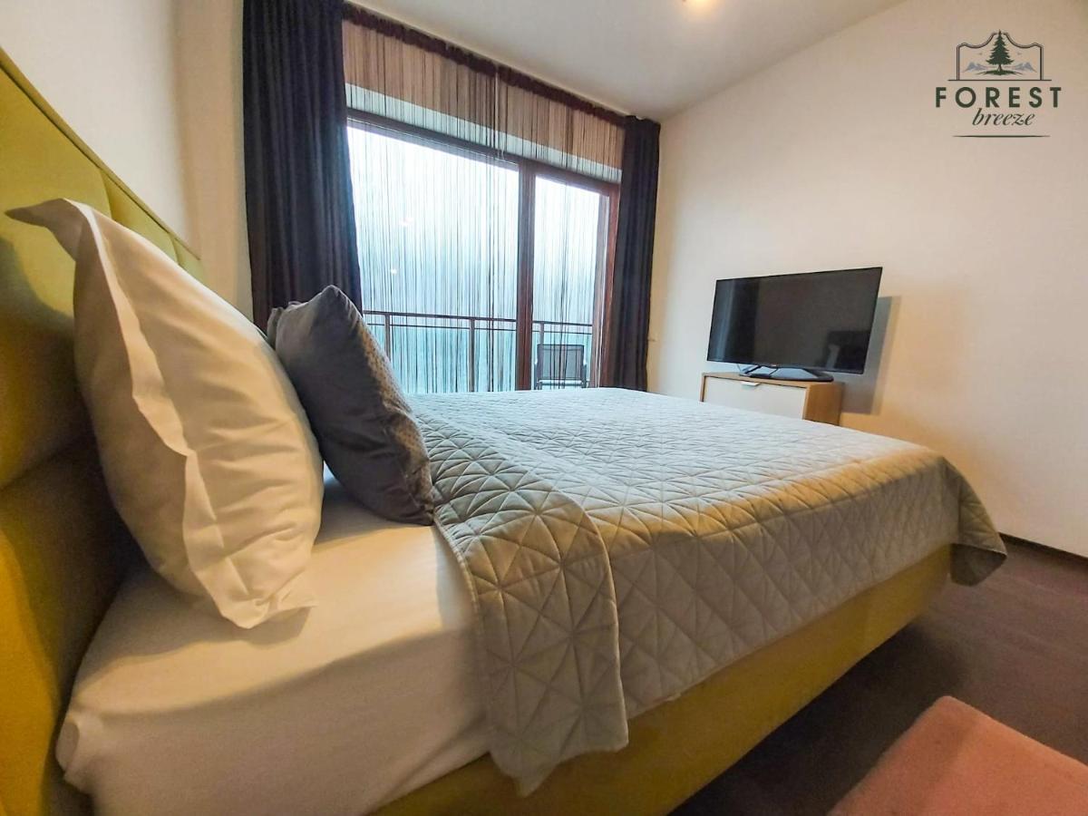 Forest Breeze Apartterrace 布拉索夫 外观 照片