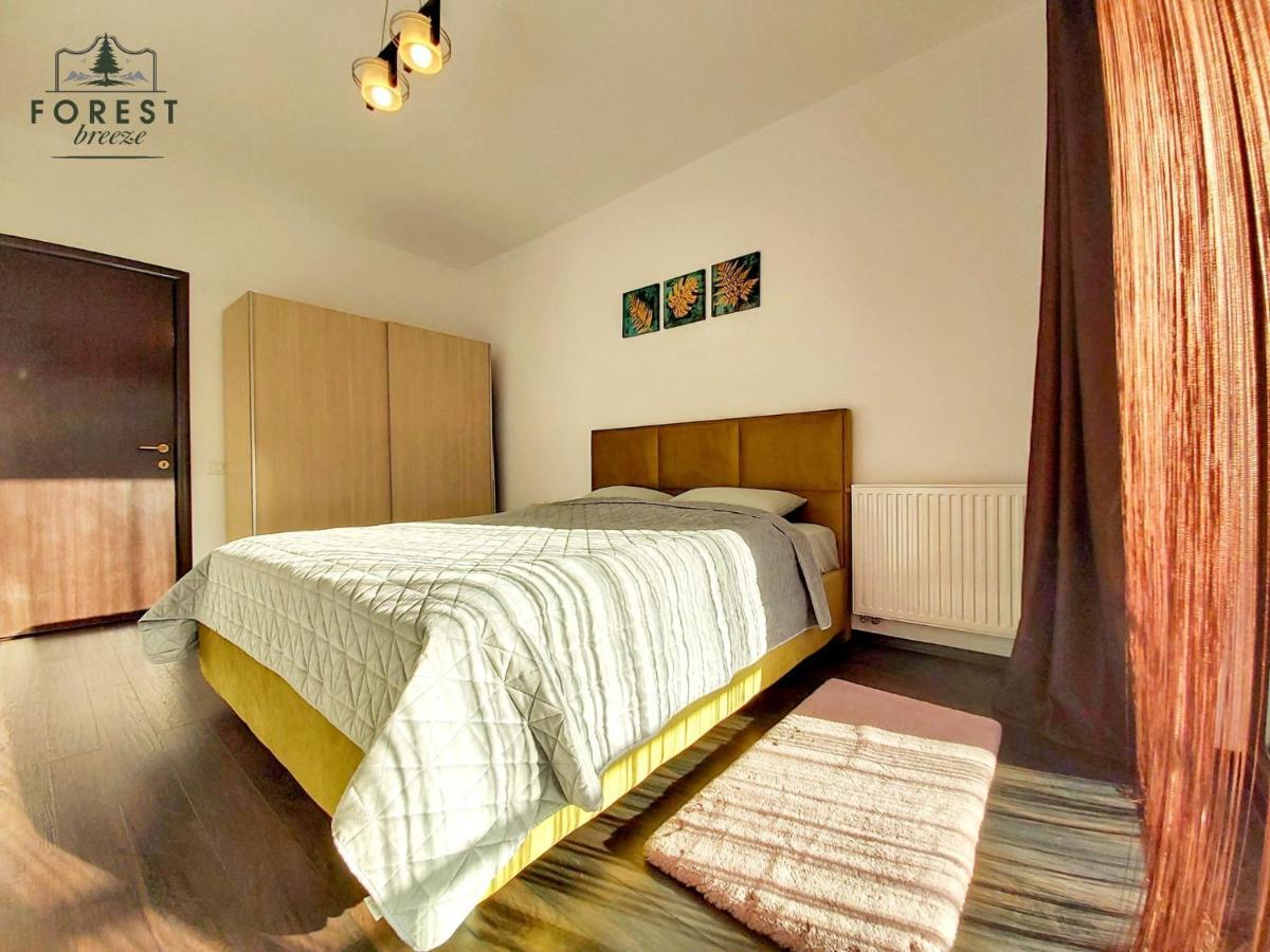 Forest Breeze Apartterrace 布拉索夫 外观 照片