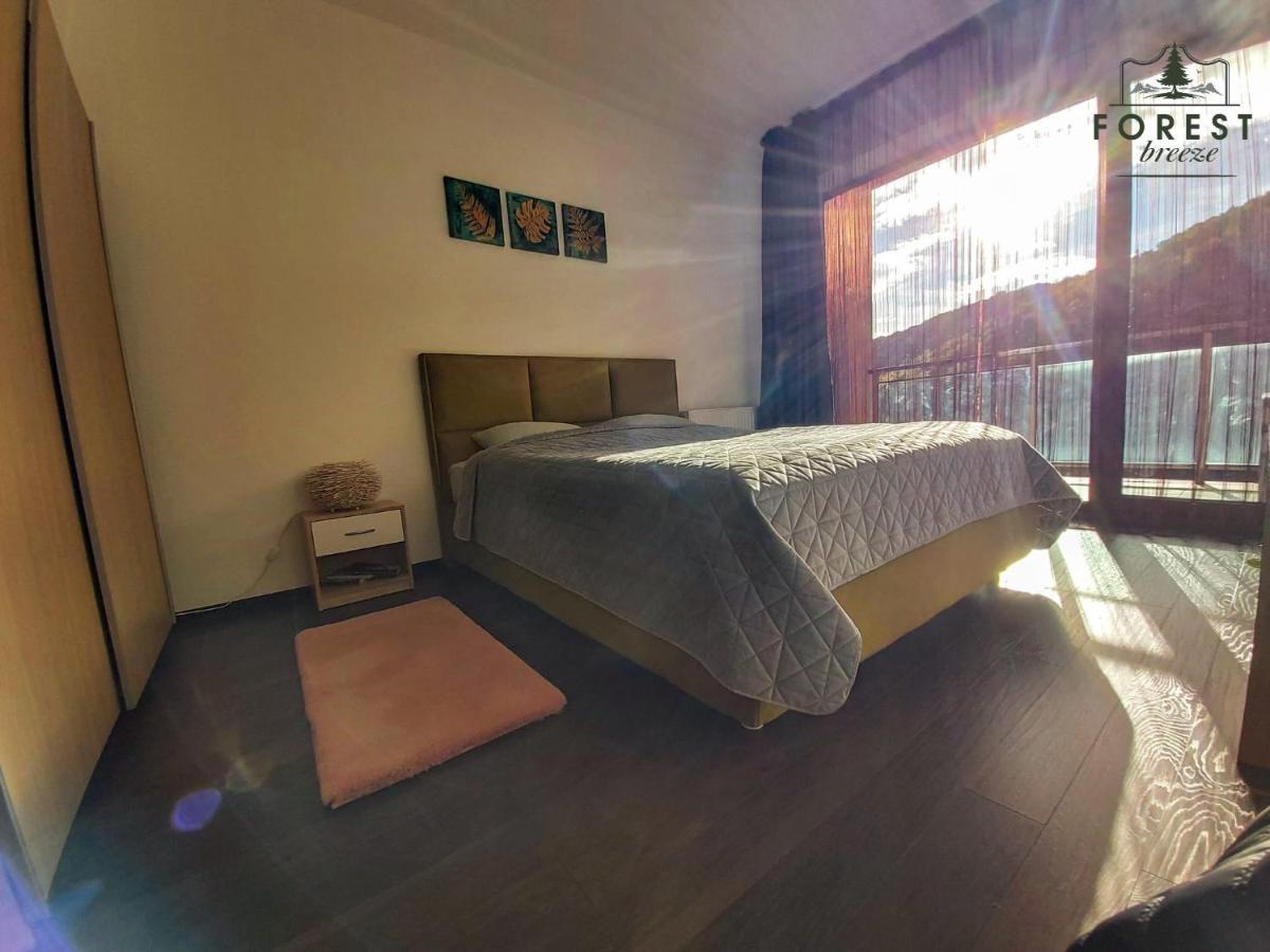 Forest Breeze Apartterrace 布拉索夫 外观 照片