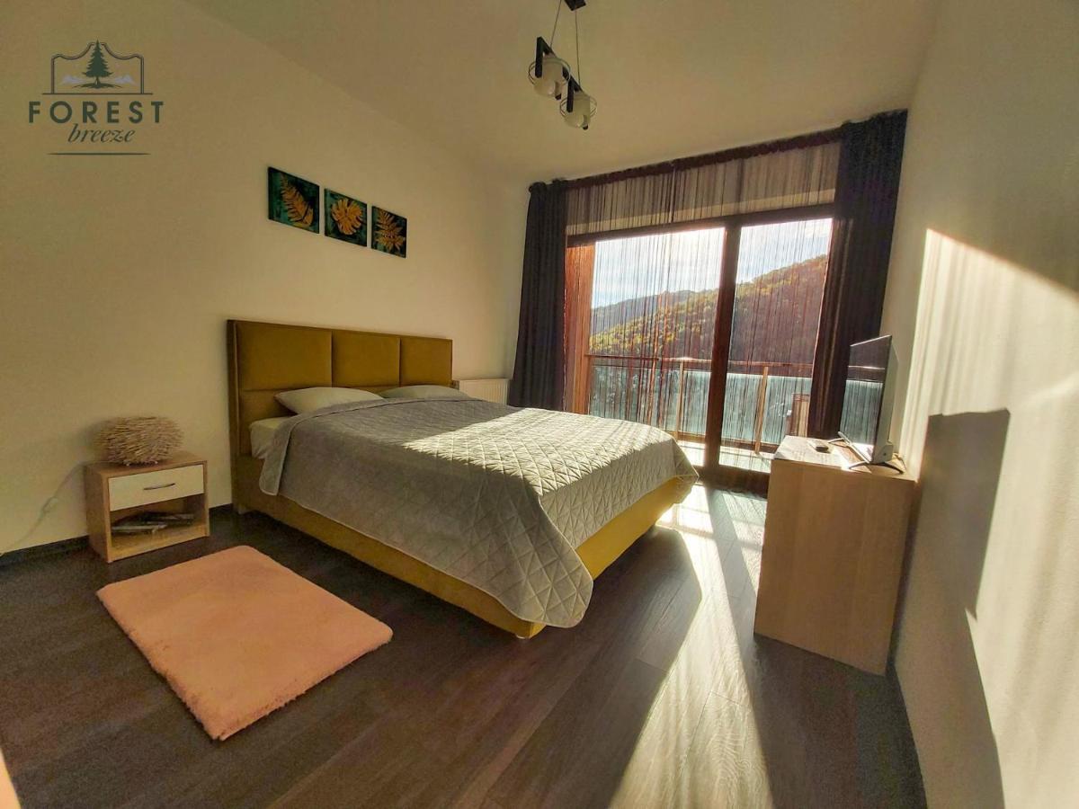 Forest Breeze Apartterrace 布拉索夫 外观 照片